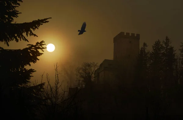 Κάστρο Wachendorf Στο Eifel Της Γερμανίας Royalty Free Φωτογραφίες Αρχείου