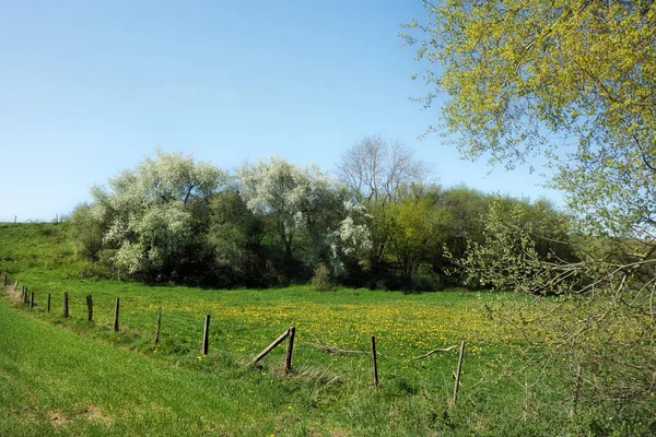 Krajina Jaře Eifelu Německu — Stock fotografie