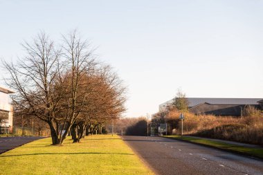 Sarı ve turuncu yaprakları ile sonbahar ağaçlar olan yol.