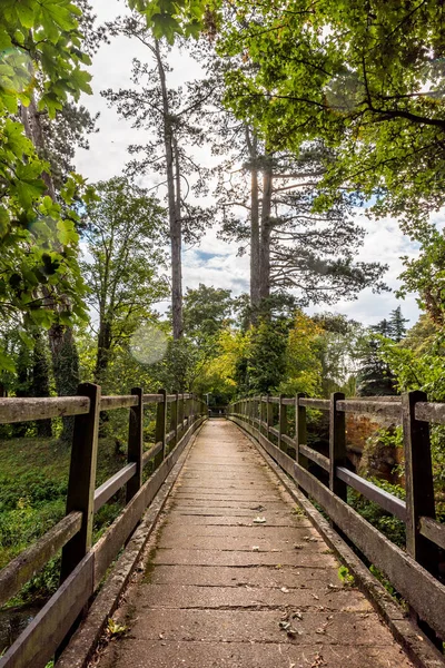 Oude houten brug. Natuurlijke vintage achtergrond — Stockfoto