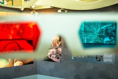 Böcek Müzesi görünümü ile 3d gözlük pov