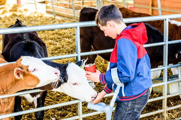 Gün görünümü çocuk koltuk değneği calfs besleme devre dışı