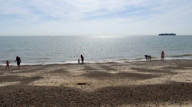 Flexistowe, İngiltere - 28 Ağustos: Güneşli gün görünümünü insanlar enjoing İngiliz deniz kenarında Flexistowe