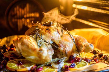 Tavuk hindi ile portakal dilimleri kızılcık ve otlar fırında kızartma iştah açıcı