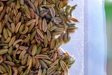 Plastik ambalajdaki rezene tohumları çay gibi demlenmeye hazır.