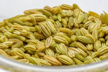 Rezene tohumu, cam çaydanlık, beyaz arka planda sağlıklı bir içecek için demlendi.