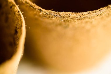 Biyo-çözünebilir tohumlar yeni sezon bahçıvanlığı için hazır.