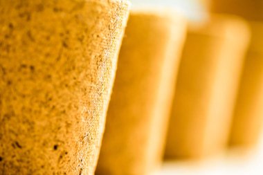 Biyo-çözünebilir tohumlar yeni sezon bahçıvanlığı için hazır.