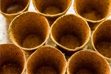 Biyo-çözünebilir tohumlar yeni sezon bahçıvanlığı için hazır.