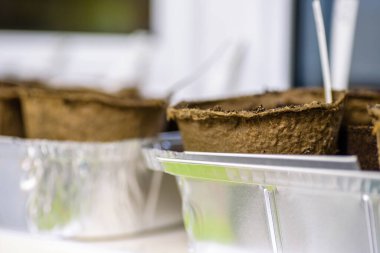 Oda lambasının altındaki pencerenin yanına istiflenmiş ayrıştırılabilir tohum saksıları yeni sezon bahçıvanlığı için hazır.