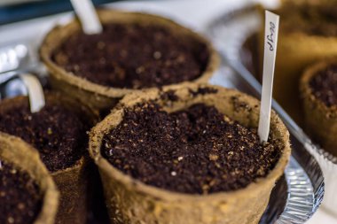 Oda lambasının altındaki pencerenin yanına istiflenmiş ayrıştırılabilir tohum saksıları yeni sezon bahçıvanlığı için hazır.