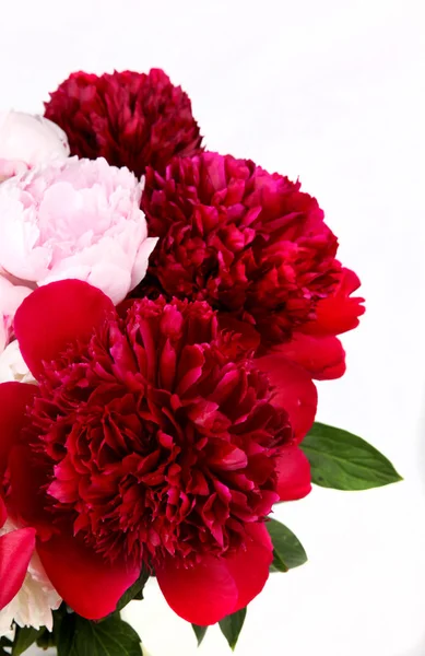 bouquet of light pink and dark red peony