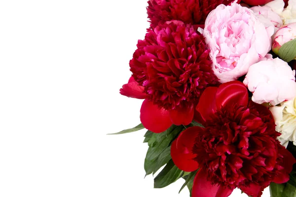 Bukiet lekki róż i ciemny czerwony piwonia — Zdjęcie stockowe