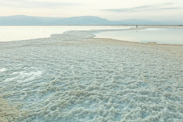 Spiaggia del mare morto — Foto Stock