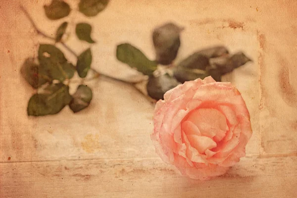 Vieille Carte Rétro Avec Une Photo Une Rose — Photo