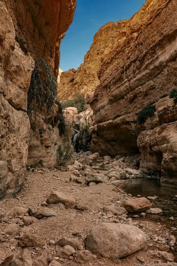 Nehir Kibbutz yakınında Ein Gedi, İsrail