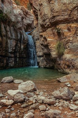 Nehir Kibbutz yakınında Ein Gedi, İsrail