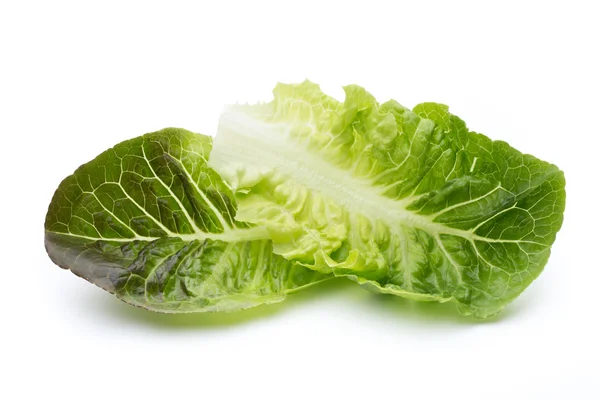 Salata verde din frunze de stejar izolată pe fundal alb . — Fotografie, imagine de stoc