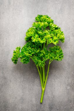 Gri metal yüzeyde yeşil, taze maydanoz.