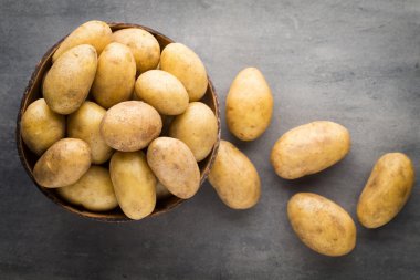 Kase, gri arka plan üzerinde yeni patates.