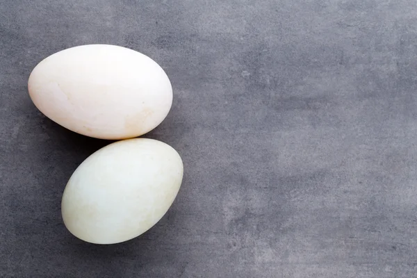 Huevos de pato sobre un fondo gris jaula. —  Fotos de Stock