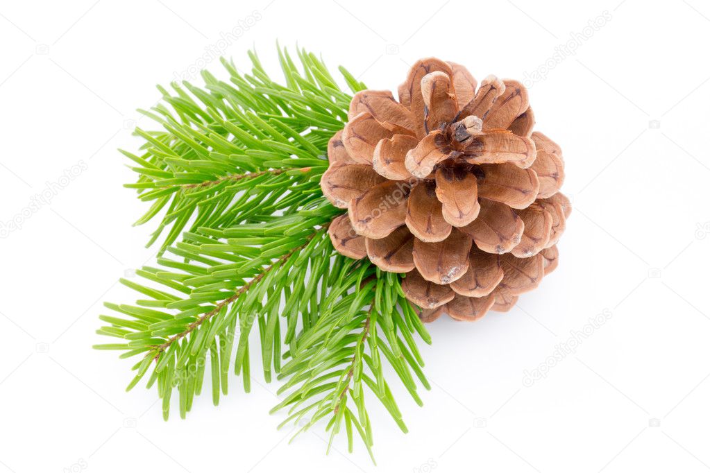 Christmas decoration on the pine cone.