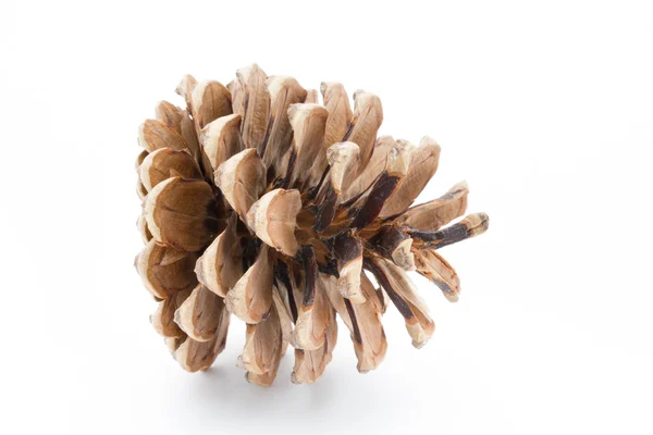 Christmas decoration on the pine cone. — Stock Photo, Image