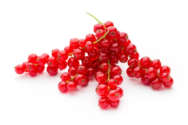 Ribes rosso da vicino isolato su bianco . — Foto Stock