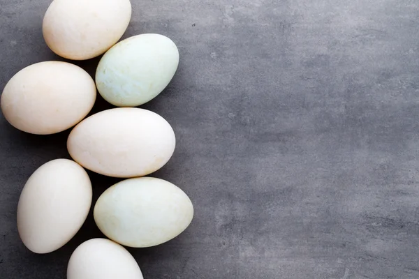 Pato ovos em uma gaiola fundo cinza. — Fotografia de Stock