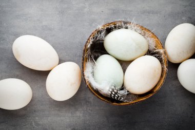  Gri arka planda ördek yumurtaları.