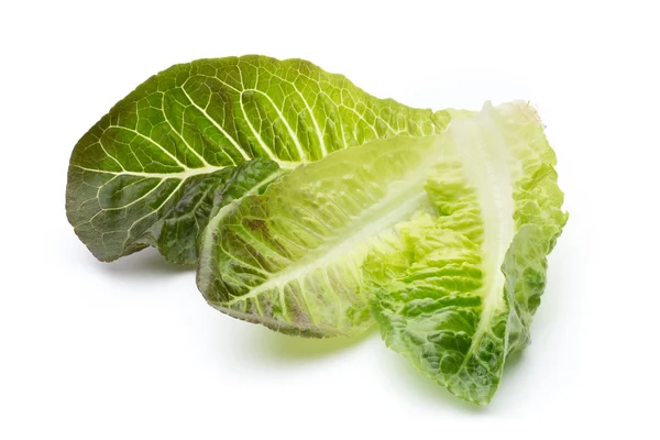 Cos Lettuce on the White Background. — Stock Photo, Image