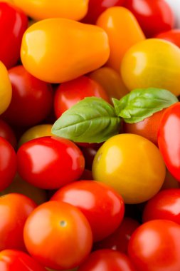 Domates gri arka plan üzerinde. Renkli domates, kırmızı domates