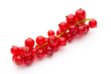 Frenk üzümü yakın çekim üzerinde beyaz izole.