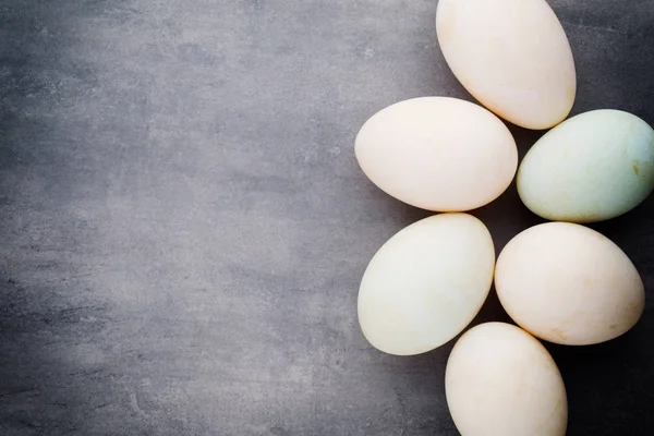 Huevos de pato sobre un fondo gris jaula. —  Fotos de Stock