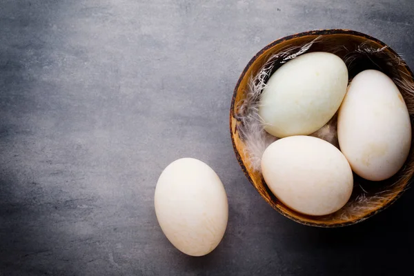 Качині яйця на сірому фоні клітки . — стокове фото