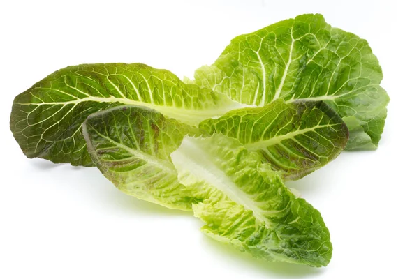 Cos Lettuce on the White Background. — Stock Photo, Image
