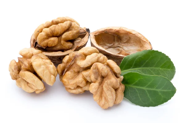Walnut and walnut kernel isolated on the white background. — Stock Photo, Image