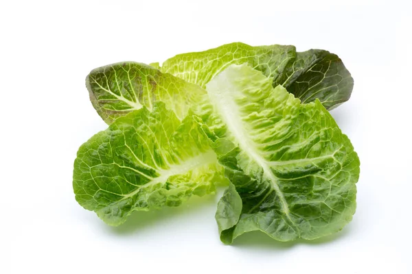 Pentru că salata verde pe fundal alb . — Fotografie, imagine de stoc