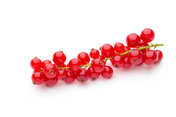 Grosella roja de cerca aislado en blanco . —  Fotos de Stock