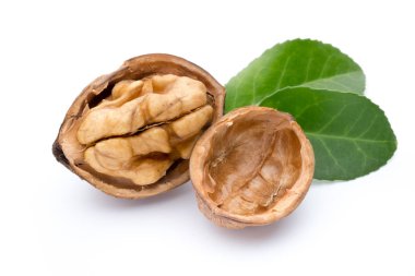 Beyaz arkaplanda ceviz ve ceviz çekirdeği izole edilmiş..