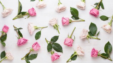 Beyaz arka planda pembe ve bej güllerden yapılmış çiçek deseni. Düz yerde, üst tarafta. Sevgililer Günü geçmişi