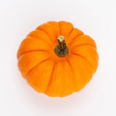 Creative Top view düz sonbahar kompozisyonu. Kabak kabaklarından yapılmış çerçeve renkli kağıt arkaplan kopyalama alanı. Şablon güz hasadı Şükran Günü Cadılar Bayramı davetiye kartları.