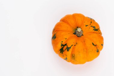 Creative Top view düz sonbahar kompozisyonu. Kabak kabaklarından yapılmış çerçeve renkli kağıt arkaplan kopyalama alanı. Şablon güz hasadı Şükran Günü Cadılar Bayramı davetiye kartları.