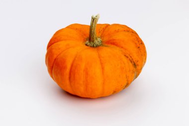 Creative Top view düz sonbahar kompozisyonu. Kabak kabaklarından yapılmış çerçeve renkli kağıt arkaplan kopyalama alanı. Şablon güz hasadı Şükran Günü Cadılar Bayramı davetiye kartları.