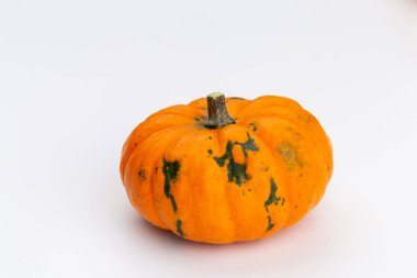 Creative Top view düz sonbahar kompozisyonu. Kabak kabaklarından yapılmış çerçeve renkli kağıt arkaplan kopyalama alanı. Şablon güz hasadı Şükran Günü Cadılar Bayramı davetiye kartları.