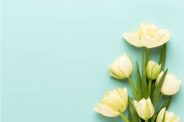 Bahar çiçekleri. Pastel renklerde laleler. Tebrik kartı Retro Vintage tarzı. Anneler günü, Paskalya tebrik kartı..