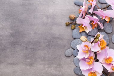Spa aromaterapi arka planı, basit orkide çiçekleriyle süslenmiş çeşitli güzellik ürünleri..