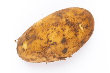 Beyaz arka planda izole edilmiş yeni patates. Yakın plan..