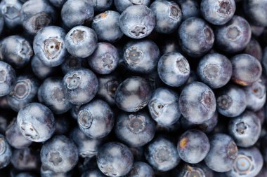 Metnin için fotokopi alanı olan taze yabanmersini arkaplanı. Sınır tasarımı. Vejetaryen ve vejetaryen kavramı. Yaban mersinli makarnanın dokusu. Yaz sağlıklı yemekleri. Pankart.