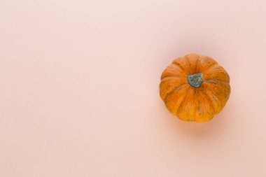 Creative Top view düz sonbahar kompozisyonu. Kabak kabaklarından yapılmış çerçeve renkli kağıt arkaplan kopyalama alanı. Şablon güz hasadı Şükran Günü Cadılar Bayramı davetiye kartları.